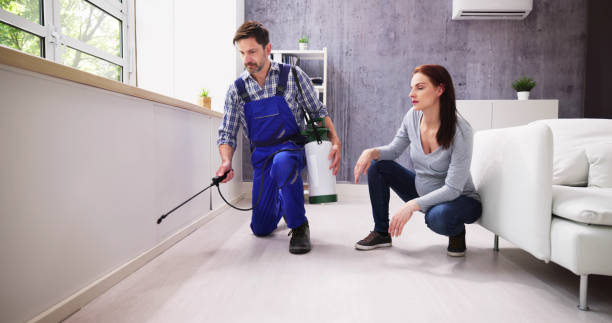 Emergency Pest Control Services in Valencia West, AZ